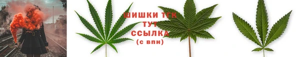 экстази Горняк