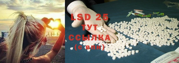 ПСИЛОЦИБИНОВЫЕ ГРИБЫ Горнозаводск